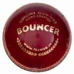 Pro Sports| SG Bouncer Leather Cricket Ball (Red)