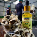 Thamani | Cold Press Oil | Moringa Seed Oil | 30ml