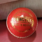 Pro Sports| Practice Red Leather Cricket Ball